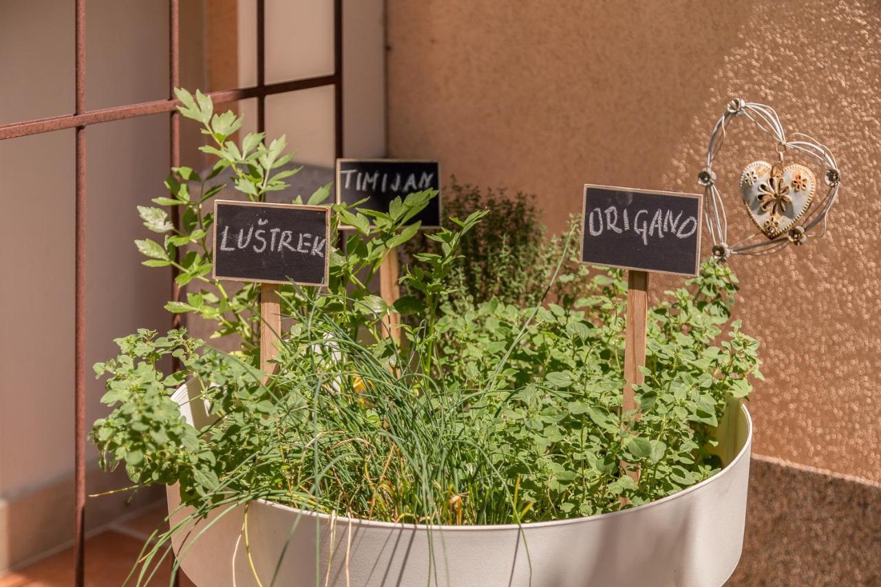 Apartma Summer Garden Bled Kültér fotó